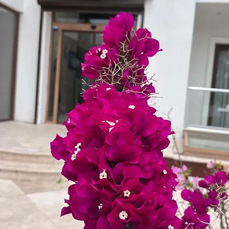 Turiya Hotell
