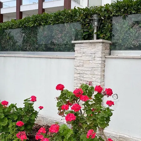 توريا اسطنبول