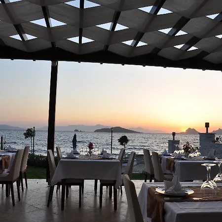 توريا اسطنبول