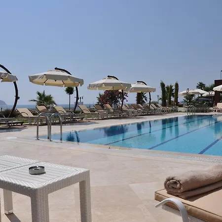 توريا اسطنبول