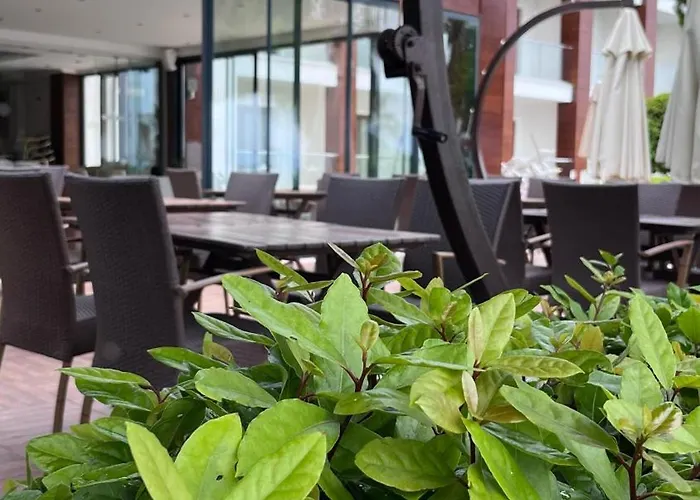 Отель Turiya Тургутрейс